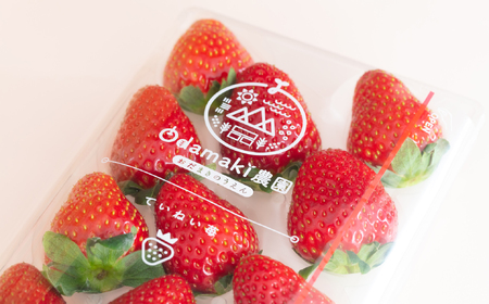 M-B8.【1月~2月上旬発送】減農薬いちご 「古都華&珠姫」2パック 食べ比べ 特別栽培農産物 ※配送地域限定