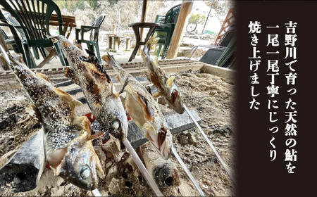 天然鮎 の 塩焼き 6匹 ( あかねや ) ＜ 冷凍 ＞ 