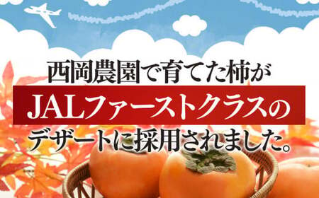 【令和7年分 先行予約】大人気！ リピーター多数！ たねなし 柿 約7kg箱 （24～30個入）| フルーツ 果物 くだもの 柿 かき カキ たねなし 種無し 種なし 奈良県 五條市 五條の柿