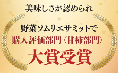 富有柿 約5kg（17～20個） 日本野菜ソムリエ協会大賞受賞品