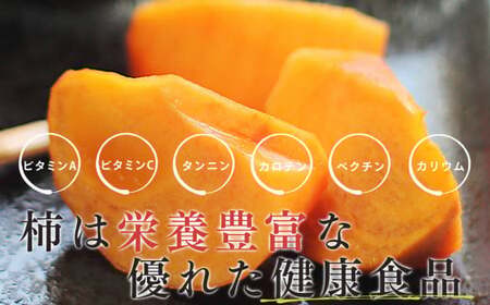冷蔵富有柿 日本野菜ソムリエ協会大賞受賞品（12～14個）