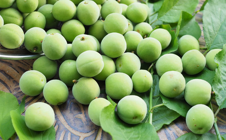 有機栽培 青梅 3kg(ジュース・梅酒・酵素用)| <※6月上旬〜6月中旬頃順次発送予定>