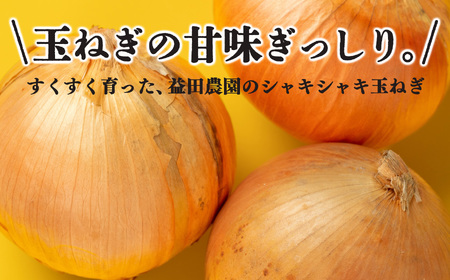 【なら育ち 益田農園】玉ねぎ約 5kg サイズ混合|ヤサイ 野菜 ベジタブル 玉ねぎ オニオン 奈良県 五條市
