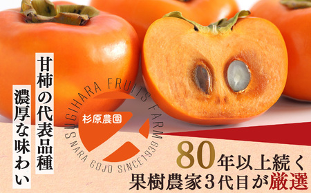 貯蔵 富有柿 12 個～14 個 L～2L サイズ | 果物 柿 