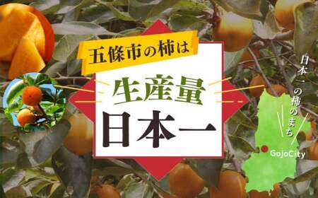 【令和7年分 先行予約】大人気！ リピーター多数！ たねなし柿 約 5kg 箱 （18～24個入） | フルーツ 果物 くだもの 柿 かき カキ たねなし 種無し 種なし 奈良県 五條市 五條の柿