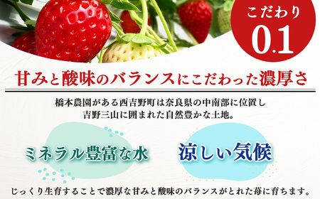 【 セット 】 大和なでし苺 古都華 ・ ならあかり 2箱 食べ比べ |  いちご イチゴ 橋本農園 