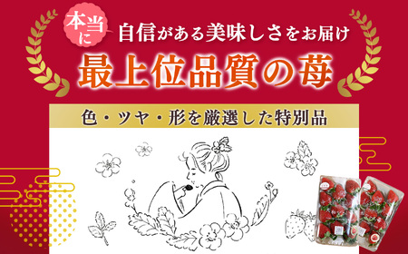【 セット 】 大和なでし苺 古都華 ・ ならあかり 2箱 食べ比べ |  いちご イチゴ 橋本農園 