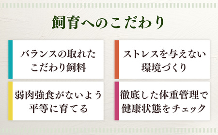 きみ の マヨネーズ 2本 セット | たまご 卵 タマゴ ギフト 贈り物 お楽しみ 奈良県 五條市