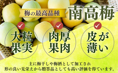 有機栽培　完熟南高梅 3kg | ＜※6月中旬〜7月上旬発送予定＞