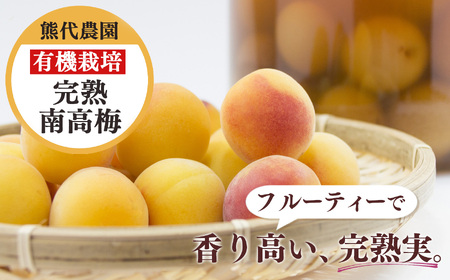 有機栽培　完熟南高梅 3kg | ＜※6月中旬〜7月上旬発送予定＞