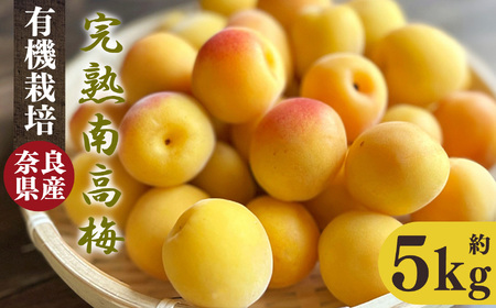 有機栽培 完熟南高梅 5kg | ＜※6月中旬〜7月上旬頃順次発送予定＞