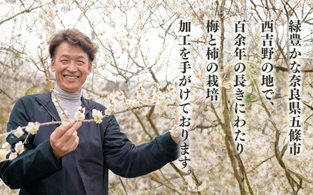 有機栽培 完熟南高梅 5kg | ＜※6月中旬〜7月上旬頃順次発送予定＞