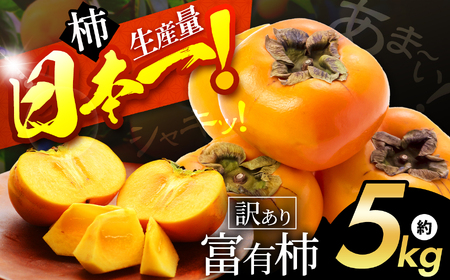 訳あり 富有柿 約 5kg | 果物 柿 わけあり