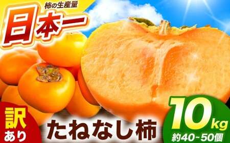 訳あり たねなし柿 約10kg （ 40~50個 ) 大人気 | 種無し たねなし 柿 フルーツ 果物 くだもの カキ かき 農家直送 家庭用 フードロス 秋の味覚 旬 大小混合 奈良県 五條市 まろやか 食べやすい 種なし やさしい 甘さ 大容量 こだわり 産地直送 10月 秋 旬 自宅用 グルメ お取り寄せ 送料無料 高評価 わけあり 訳アリ 株式会社柳澤果樹園