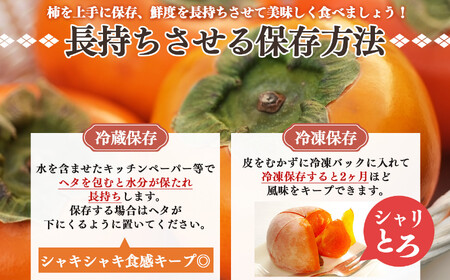 旬の富有柿 サイズおまかせ L～２L 約 5kg  |  大人気 人気 富有 柿 かき フルーツ 果物 奈良県 五條市 なかにし農園 贈答用 ギフト プレゼント おすすめ 11月 発送 カキ 秋の味覚 旬 甘い 大容量 農家直送 産地直送 グルメ お取り寄せ 送料無料  食物繊維 豊富 美容 健康 低農薬 有機質肥料 | 奈良県 五條市