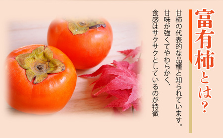 富有柿 化粧箱入り 約 4kg （ 12個 ～ 15個 ） | 果物 柿 贈答 熊代農園