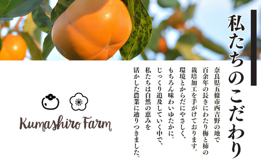 富有柿 化粧箱入り 約 4kg （ 12個 ～ 15個 ） | 果物 柿 贈答 熊代農園