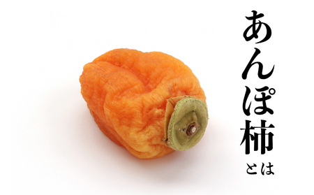 あんぽ柿 3個入り×6パック | <11月上旬~3月下旬頃順次発送> | 果物 柿 極上の甘み