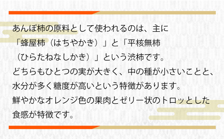 あんぽ柿 3個入り×6パック | <11月上旬~3月下旬頃順次発送> | 果物 柿 極上の甘み