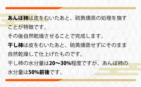 あんぽ柿 3個入り×6パック | <11月上旬~3月下旬頃順次発送> | 果物 柿 極上の甘み