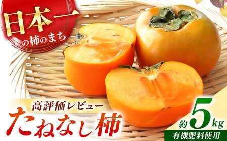 たねなし柿 約5kg | フルーツ くだもの 果物 柿 かき カキ 奈良県 五條市 家庭用 自宅用 どっさり たっぷり 種なし 種無し 種なし柿 産地直送 国産 人気 送料無料 甘い グルメ お取り寄せ 大容量 ビタミン 食物繊維 豊富 美容 健康 10月 11月 順次発送 秋 旬 味覚 食べやすい 梨子本農園 やわらかい まろやか 高評価 人気 エコファーマー認定 有機肥料