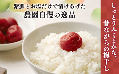 有機栽培 小梅しそ漬け梅干 700g | 梅干し 天然塩 熊代農園