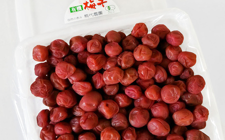 有機栽培 小梅しそ漬け梅干 700g | 梅干し 天然塩 熊代農園