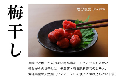 有機栽培 南高しそ漬け梅干700g 小梅しそ漬け梅干700g | 梅干し 天然塩 熊代農園