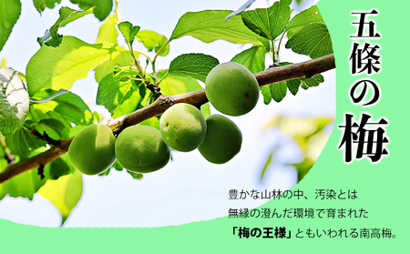 有機栽培 南高しそ漬け梅干700g 小梅しそ漬け梅干700g | 梅干し 天然塩 熊代農園