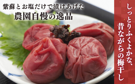 有機栽培　南高しそ漬け梅干700g | 果実 かじつ カジツ 梅 うめ ウメ 梅干し 奈良県 五條市 健康