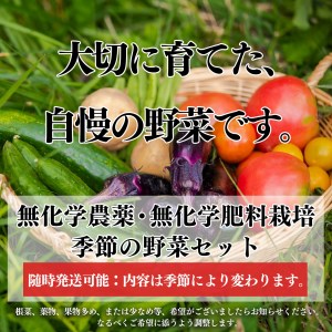 生命の農法（無化学農薬・無化学肥料栽培）季節の野菜セット