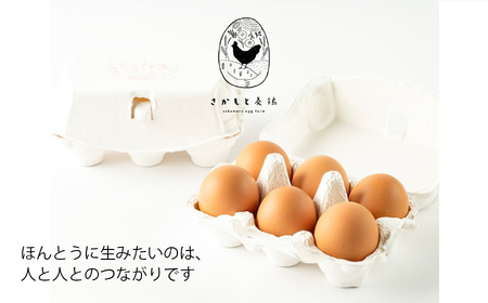 【定期便】さかもと養鶏の白鳳卵60個（30個入×全2回配送）