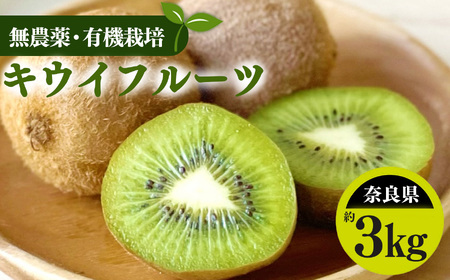 生命の農法（無化学農薬・無化学肥料栽培）キウイフルーツ（約3kg）キウイ　フルーツ　キウイフルーツ