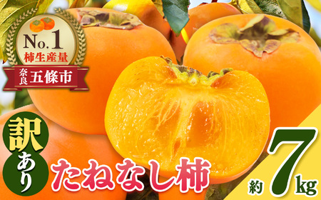 【 令和 7年分 先行 予約 】 たねなし 柿 わけあり ！ 約 7kg | 柿 かき カキ 果物 フルーツ くだもの 訳あり 家庭用 ご家庭用 お歳暮 秋 味覚 奈良県 五條市