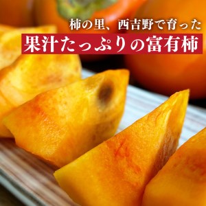 富有柿　わけあり！（約7kg） ≪ 訳アリ 訳あり 家庭用 ご家庭用 奈良 お歳暮 秋 味覚≫  | フルーツ果物 くだもの 柿 かき カキ 奈良県 五條市※着日指定不可≪訳アリ 訳あり 家庭用 ご家庭用 奈良 お歳暮 秋 味覚≫