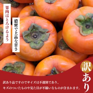 富有柿　わけあり！（約7kg） ≪ 訳アリ 訳あり 家庭用 ご家庭用 奈良 お歳暮 秋 味覚≫  | フルーツ果物 くだもの 柿 かき カキ 奈良県 五條市※着日指定不可≪訳アリ 訳あり 家庭用 ご家庭用 奈良 お歳暮 秋 味覚≫