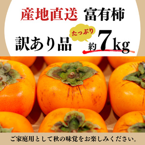 富有柿　わけあり！（約7kg） ≪ 訳アリ 訳あり 家庭用 ご家庭用 奈良 お歳暮 秋 味覚≫  | フルーツ果物 くだもの 柿 かき カキ 奈良県 五條市※着日指定不可≪訳アリ 訳あり 家庭用 ご家庭用 奈良 お歳暮 秋 味覚≫