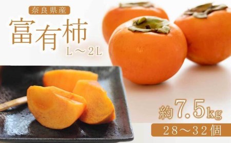 奈良の富有柿（約7.5kg）※着日時はご指定いただけません | フルーツ くだもの 果物 柿 かき カキ 富有柿 奈良県 五條市