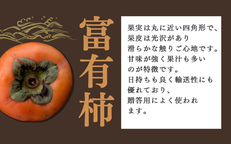 奈良の富有柿（約7.5kg）※着日時はご指定いただけません | フルーツ くだもの 果物 柿 かき カキ 富有柿 奈良県 五條市