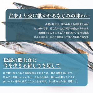 さんま寿司※北海道、沖縄、離島、青森県、秋田県、岩手県への配送不可  | すし 寿司 スシ 秋刀魚 サンマ 奈良県 五條市