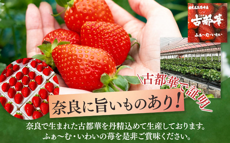 「 古都華 ~ ことか ~」 大粒 厳選 Deluxe( 大箱 )※ 12月 下旬頃〜 3月 下旬頃 順次発送 予定 ※北海道・沖縄・離島対応不可 | いちご ふぁ~む・いわい