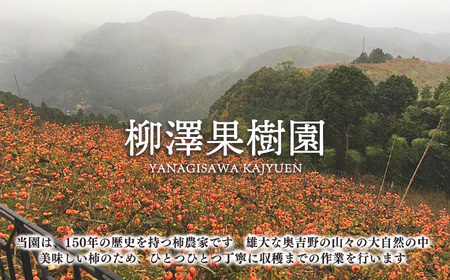 【令和7年発送 先行予約】 訳あり たねなし柿 約10kg （ 40～50個 ) 2024年 大人気 | 種無し たねなし 柿 フルーツ 果物 くだもの カキ かき 農家直送 家庭用 フードロス 秋の味覚 旬 大小混合 奈良県 五條市 名産地 