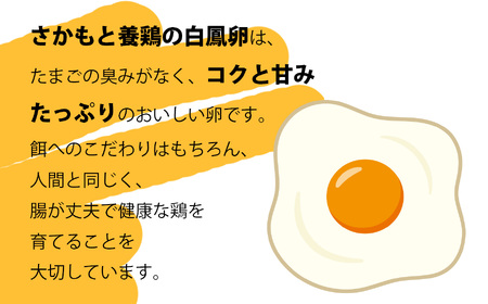 白鳳卵：業務用加熱たまご 5kg