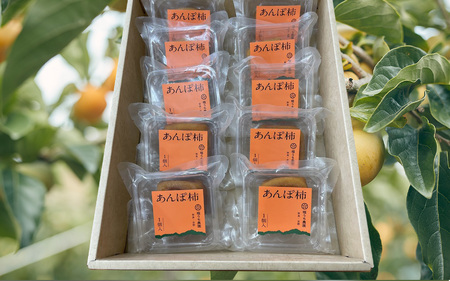 【 堀内果実園 】 優しい甘さ あんぽ柿 ギフト セット 10個 | 果物 柿 贈答