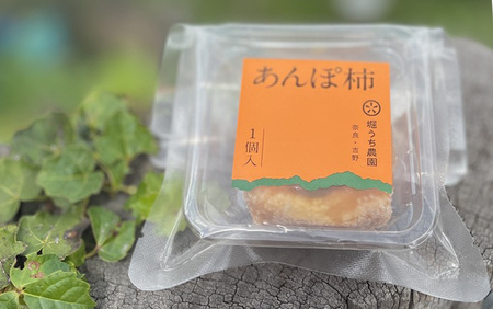 【 堀内果実園 】 優しい甘さ あんぽ柿 ギフト セット 10個 | 果物 柿 贈答