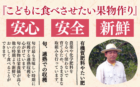 桃 ( 小玉 )約 4kg 箱 ( 13 ~ 15個 )| 果物 桃 大容量 西岡農園