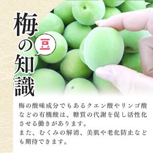 【厳選】西吉野の青梅（南高梅）約４kg（秀品）※2025年6月上旬～2025年6月下旬頃発送予定 