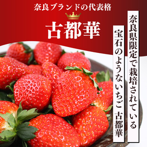 定期便2回お届け】古都華と旬のいちごつめあわせ（大粒）600g×2回 計8パック | フルーツ くだもの 果物 いちご イチゴ ことか コトカ 古都華  奈良県 五條市 | 奈良県五條市 | ふるさと納税サイト「ふるなび」