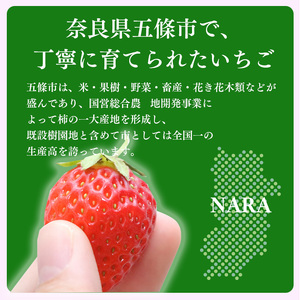 定期便2回お届け】古都華と旬のいちごつめあわせ（大粒）600g×2回 計8パック | フルーツ くだもの 果物 いちご イチゴ ことか コトカ 古都華  奈良県 五條市 | 奈良県五條市 | ふるさと納税サイト「ふるなび」