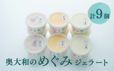 素材を生かした イタリア仕込み 奥大和のめぐみ ジェラート （ 3種 ） 計9個 | アイス 南高梅 甘酒 桜の花の塩漬け 有限会社 農悠舎 4,000円
